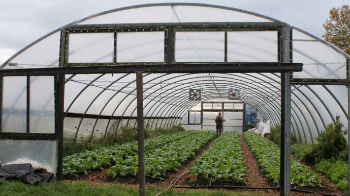 pac-choi-haus-2