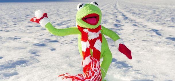 Achtung Frostgefahr! | Emmerts Biokiste