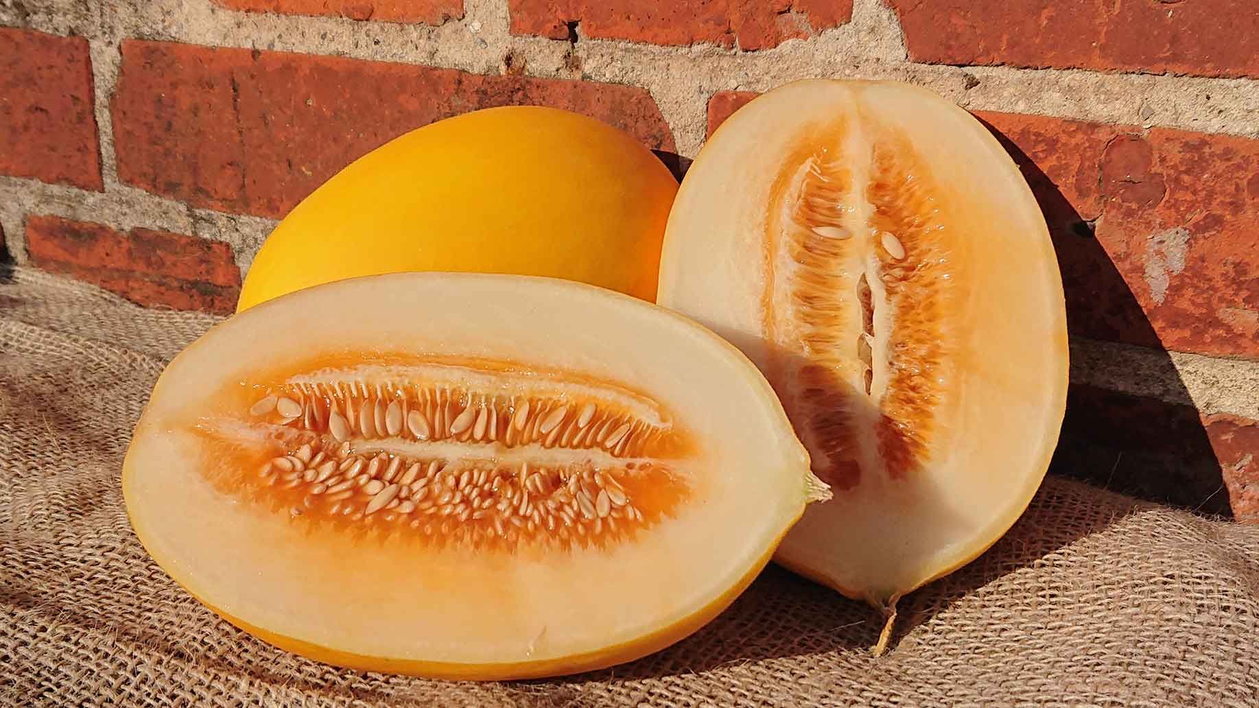 Honigmelone | Emmerts-Biokiste