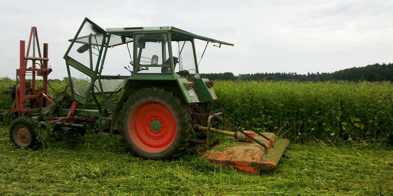 Gründüngung mulchen | Emmerts Biokiste