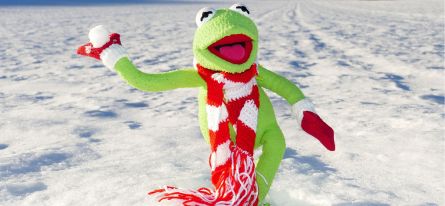 Achtung Frostgefahr! | Emmerts Biokiste