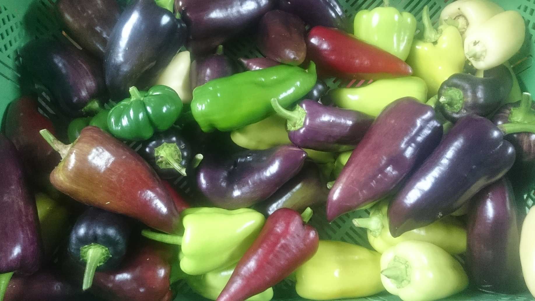 Paprika Mix