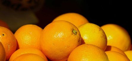 Zitusfrüchte ganz verwenden | Emmerts Biokiste