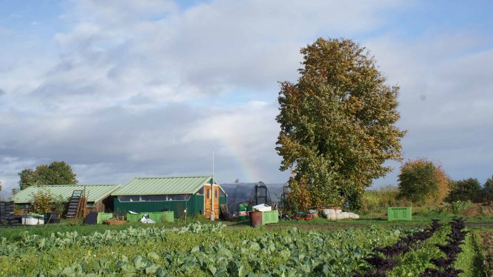 regenbogen