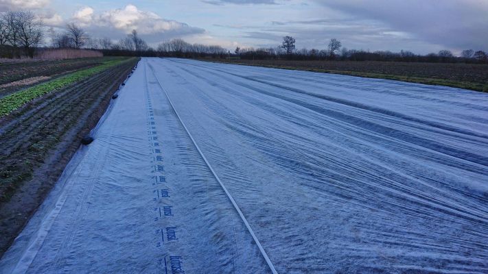 hinter-den-tunneln-im-maerz